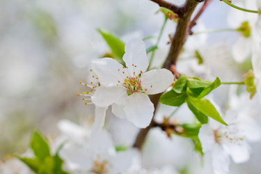 Similar image 21007060