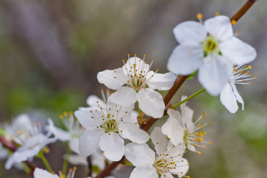 Similar image 21007062