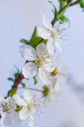 Similar image 21007064