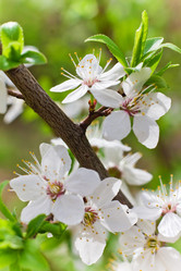 Similar image 21007068