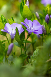 Similar image 21007074