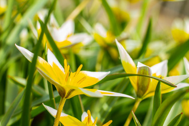 Similar image 21007183