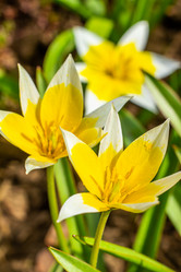 Similar image 21007185