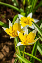 Similar image 21007187