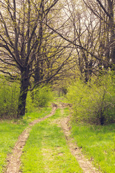 Similar image 21007192