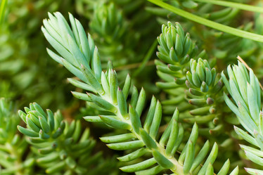 Similar image 21007193