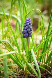 Similar image 21007084