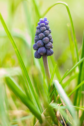 Similar image 21007085