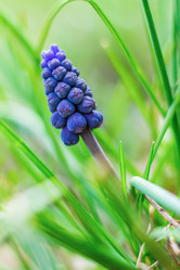 Similar image 21007086