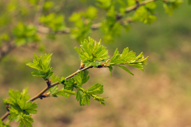 Similar image 21007087