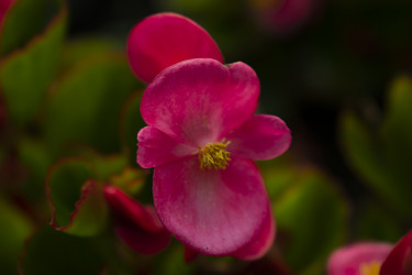 Similar image 21013766