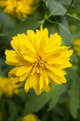 Similar image 21013767