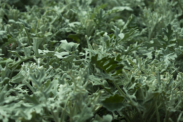 Similar image 21007649