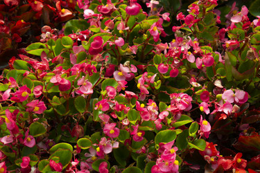 Similar image 21013768