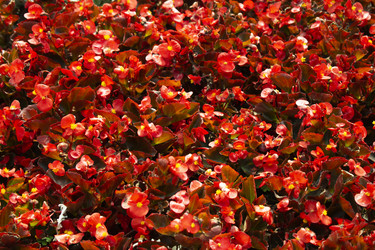 Similar image 21013769