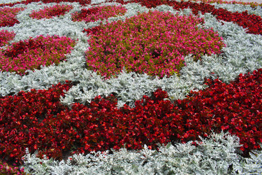 Similar image 21009677