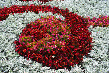 Similar image 21009678