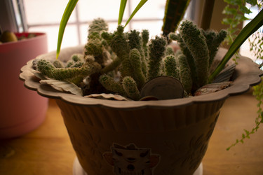 Similar image 21018963