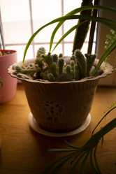 Similar image 21018976