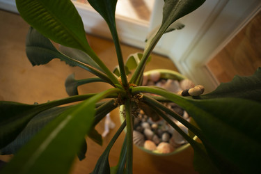 Similar image 21018977