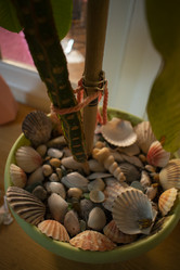 Similar image 21018980