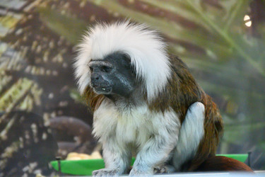 Similar image 21007194