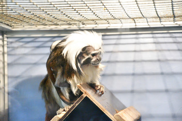 Similar image 21007196