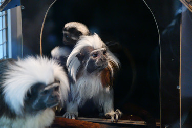 Similar image 21007197