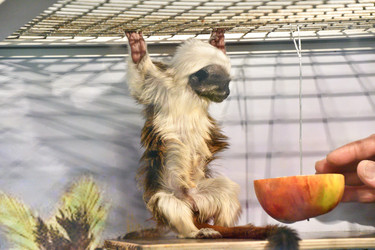 Similar image 21007198