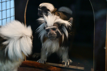 Similar image 21007199