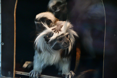 Similar image 21007201