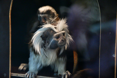 Similar image 21007203