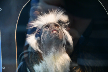 Similar image 21007205