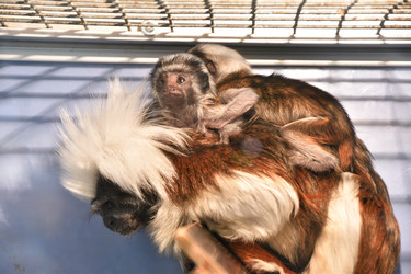 Similar image 21007206