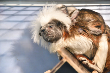 Similar image 21007207