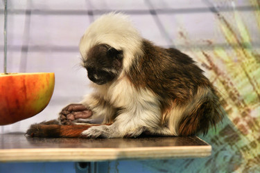 Similar image 21007209