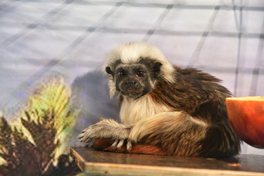 Similar image 21007212