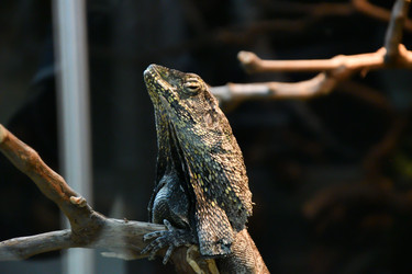 Similar image 21007213