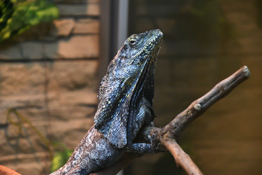 Similar image 21007214