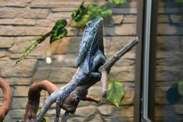 Similar image 21007215