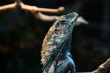 Similar image 21007216