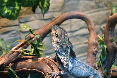 Similar image 21007219