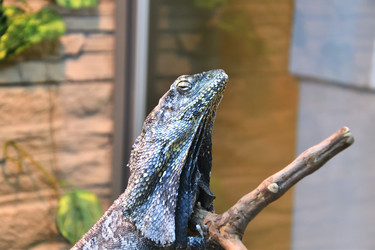 Similar image 21007220