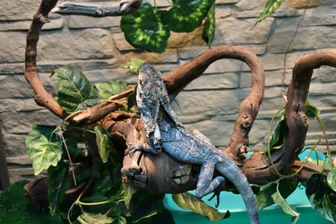 Similar image 21007221