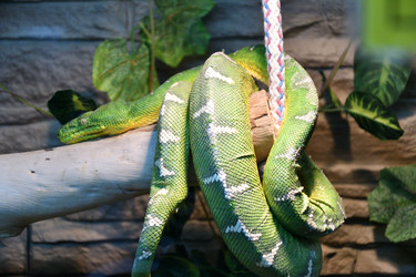 Similar image 21007353