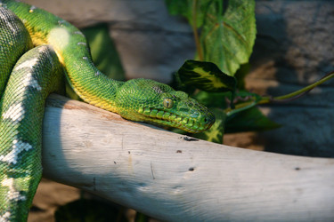 Similar image 21007354