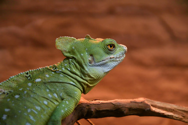 Similar image 21007355