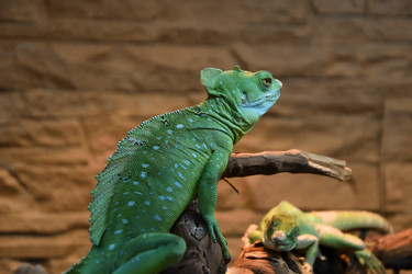 Similar image 21007356