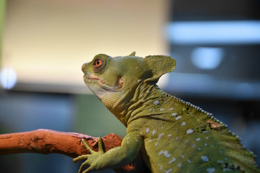 Similar image 21007358