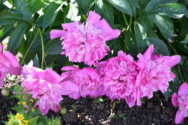 Similar image 21007368